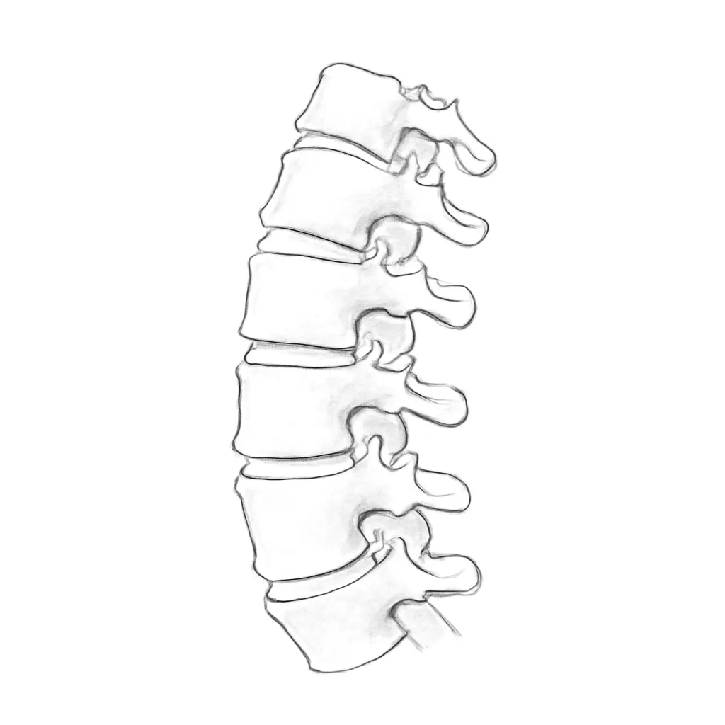 Ilustrace znázorňující téma: Osteofyty na bederní páteři: příčiny, příznaky a léčba