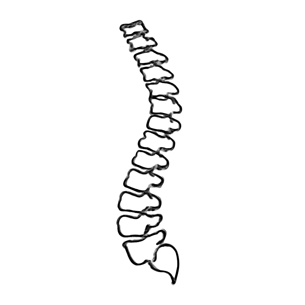 Ilustrace znázorňující téma: Spondylartróza L3-S1: Jak s ní účinně bojovat